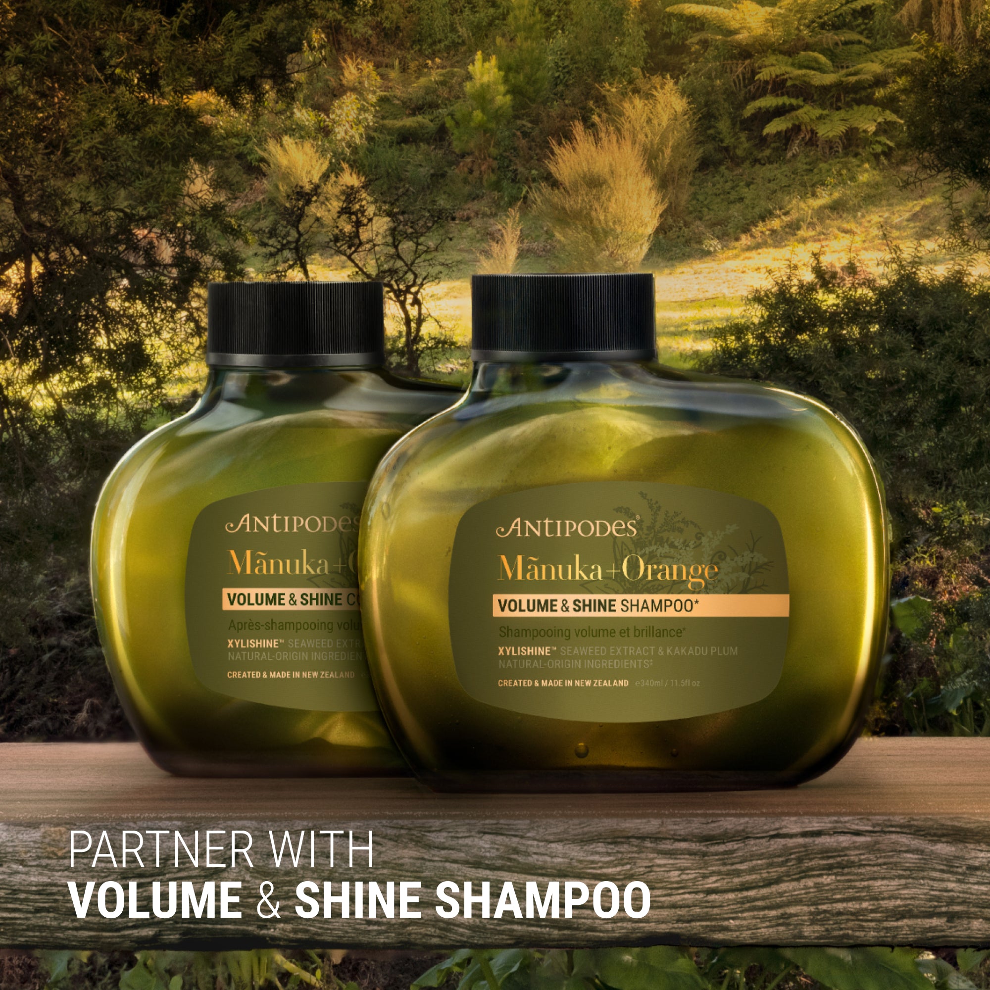 Mānuka+Orange Volume & Shine Conditioner