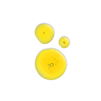 Bio-Retinol + Vitamin C Booster