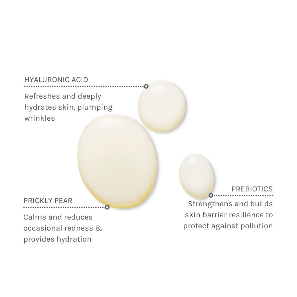 Evolve Daily Defense Moisture Mist (spray tónico hidratante)