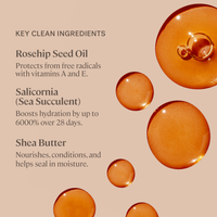 Lip Balm with Color Balmy Tint Hydrating Lip Balm