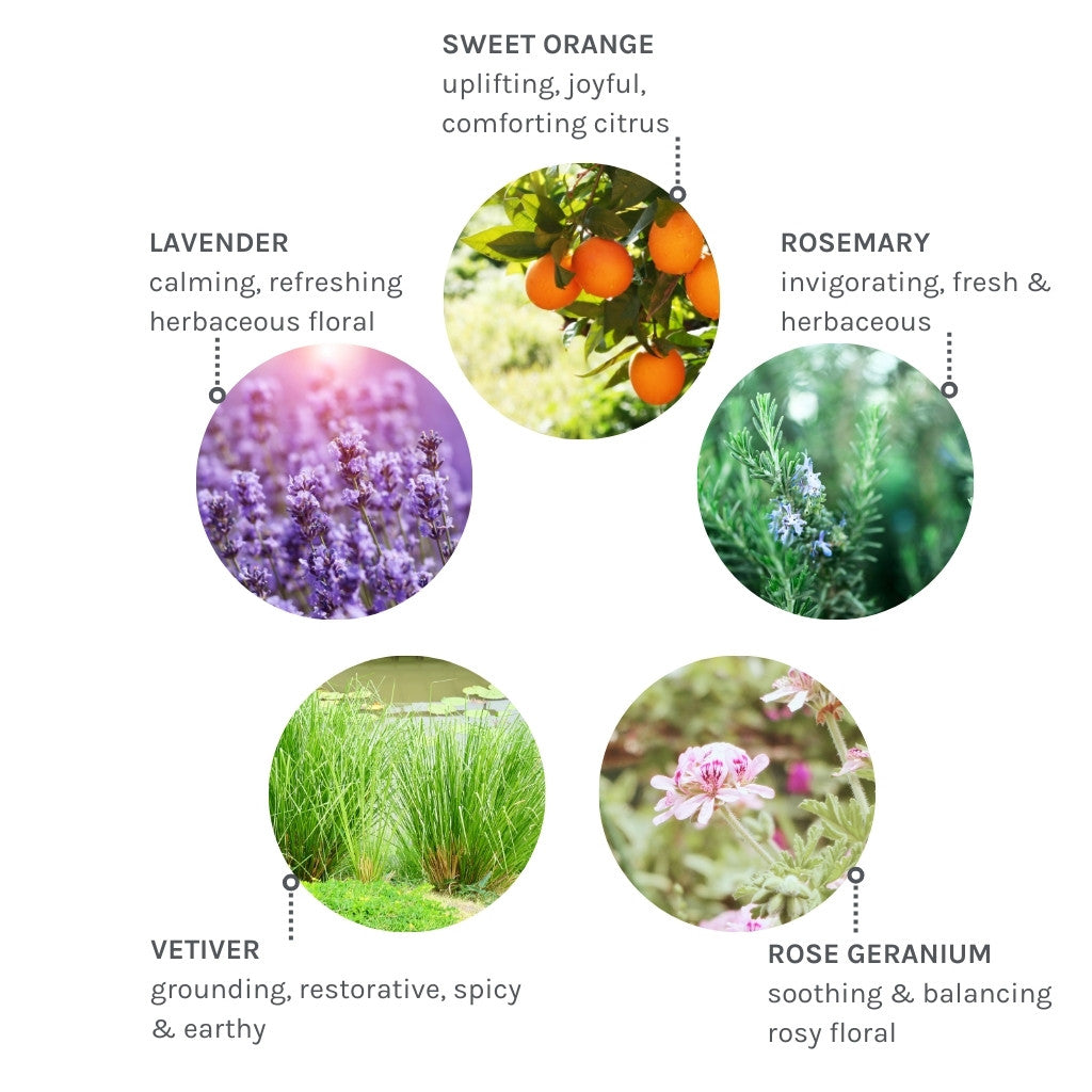 Pure Tranquility Aromatic Hand & Body Lotion